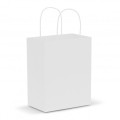 Paper Carry Bag - Medium